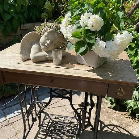 Adler Botenheim Hotel 3*