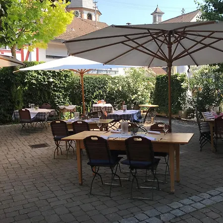 Hotel Adler Botenheim 3*