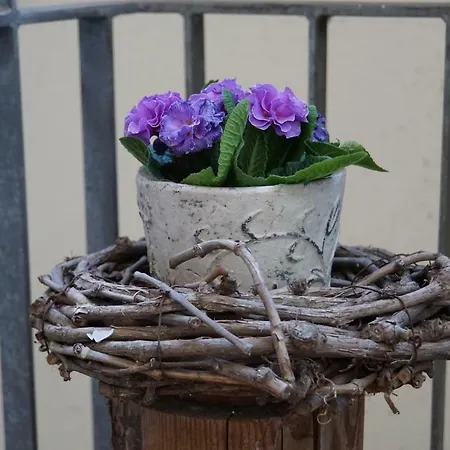 Adler Botenheim Hotel 3*