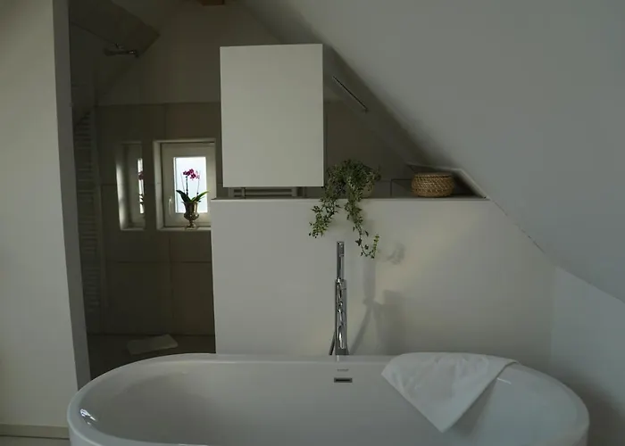 Adler Botenheim Hotel 3*