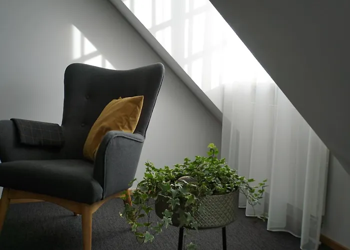 Hotel Adler Botenheim 3*