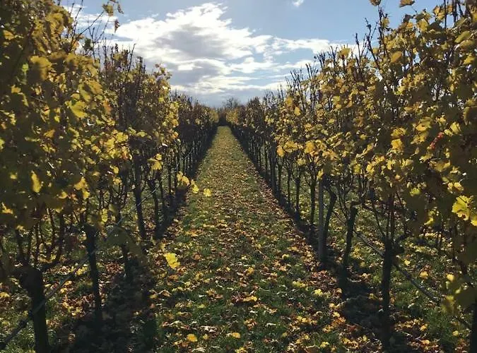 Adler Botenheim 3* Brackenheim