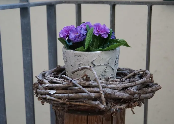 Adler Botenheim Hotel 3*