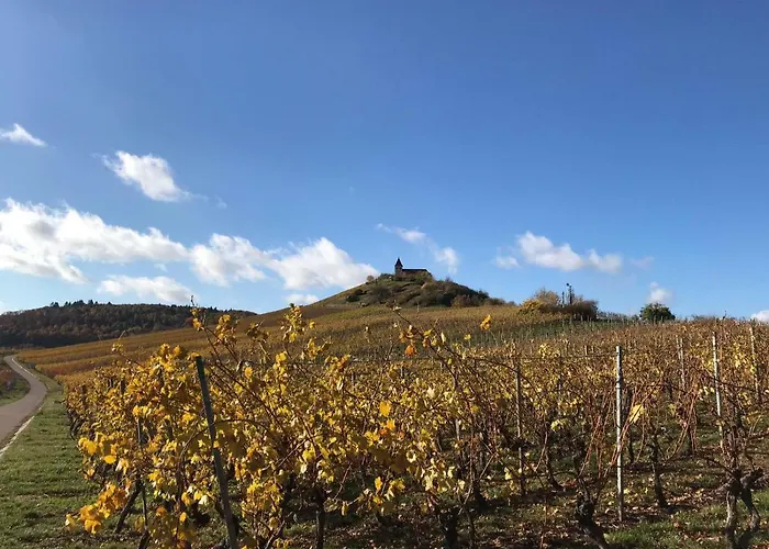 Adler Botenheim Hotel 3*